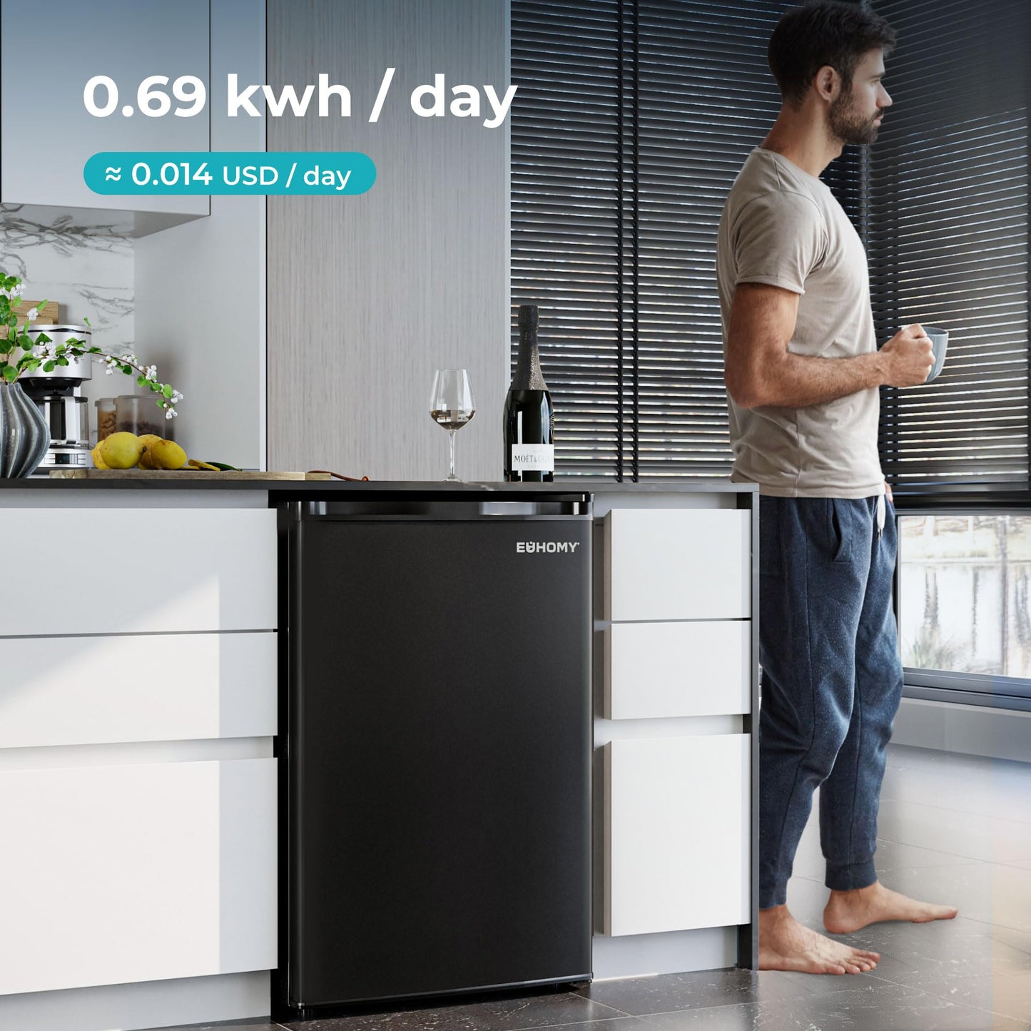EUHOMY Mini Fridge with Freezer, Single Door Compact Refrigerator - Euhomy
